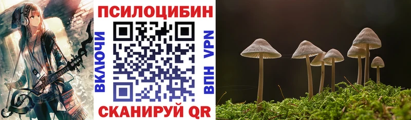 где купить   Верхнеуральск  Псилоцибиновые грибы ЛСД 