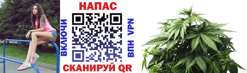 продажа наркотиков Верхнеуральск Бошки марихуана AK-47